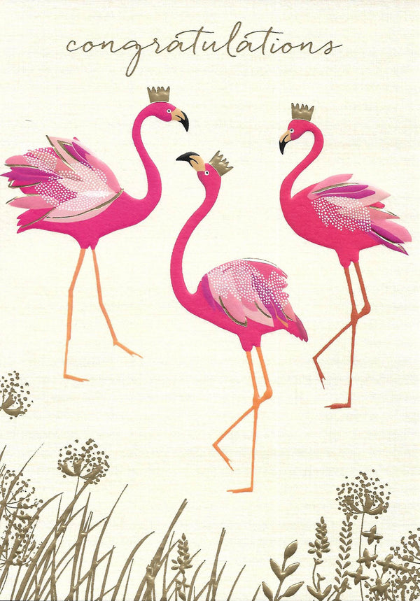 Kort Pardon - flamingo
