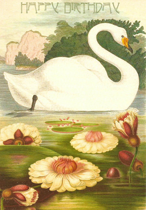 Kort Pardon - The Swan