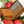 O My Bag Sonny Square Wallet Cognac Vegan Apple leather